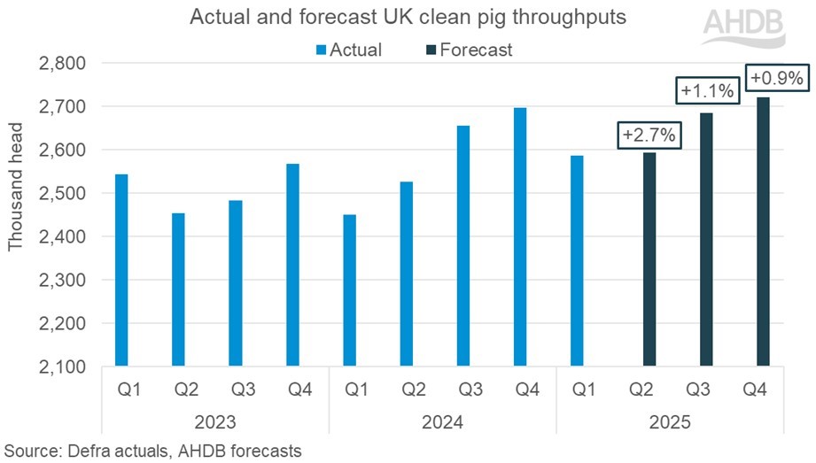 Bar chart showing quarterly UK clean pig slaughtering numbers